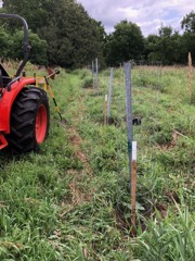 Planting prep